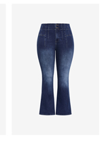 Shop the Asha Fit Pin Woodstock Flare Leg Jean