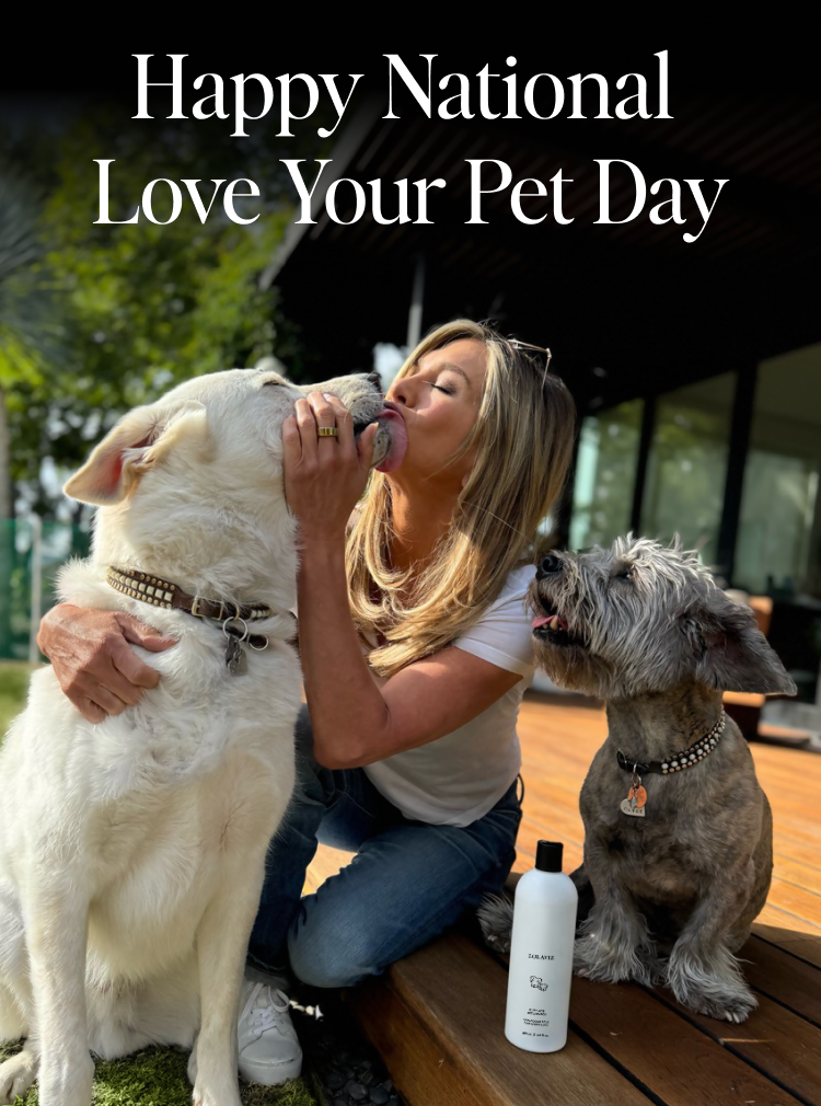 Happy National Love Your Pet Day