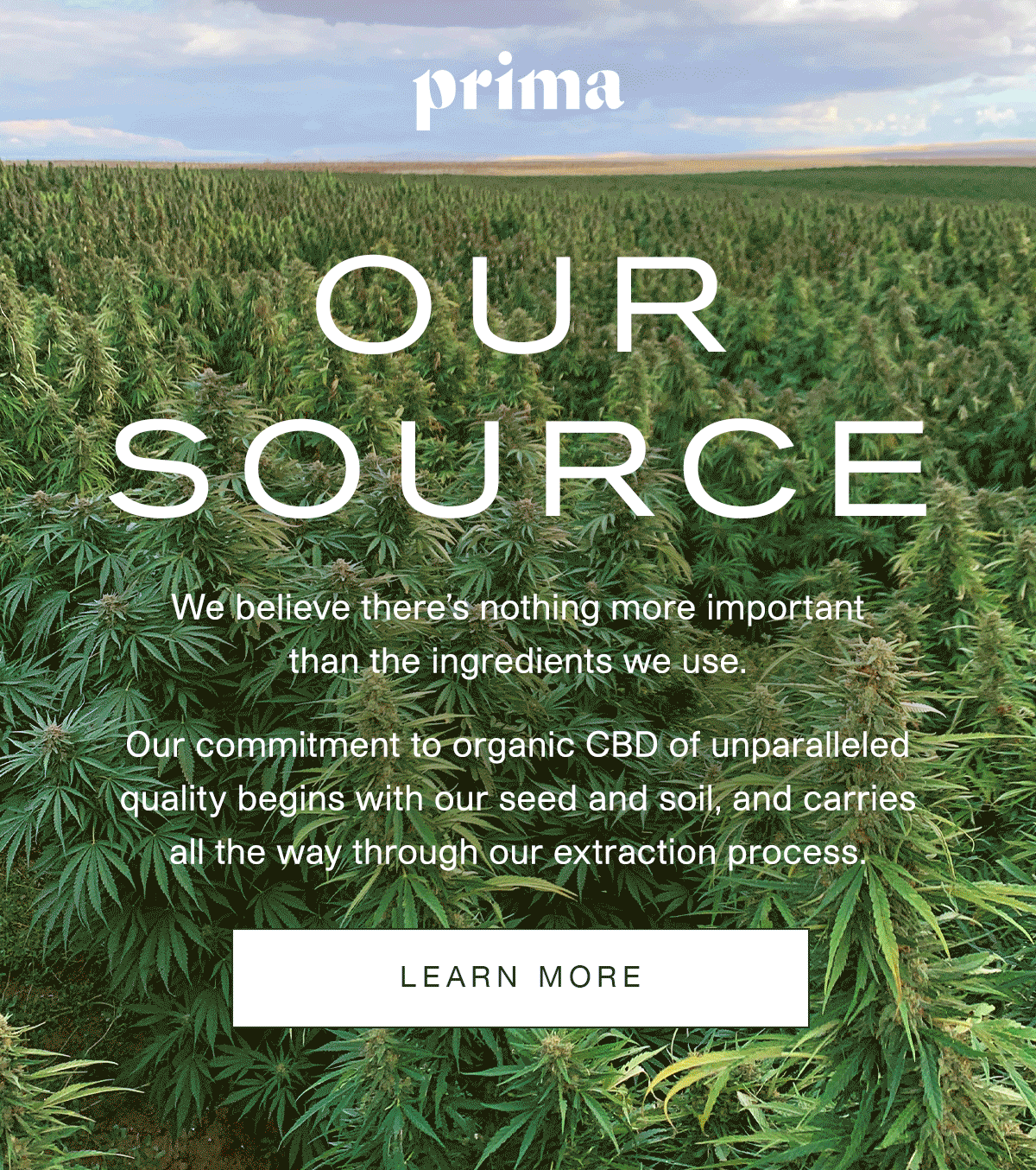Our Source: We believe there’s nothing more important than the ingredients we use. Our commitment to organic CBD of unparalleled quality begins with our seed and soil, and carries all the way through our extraction process. | Learn More