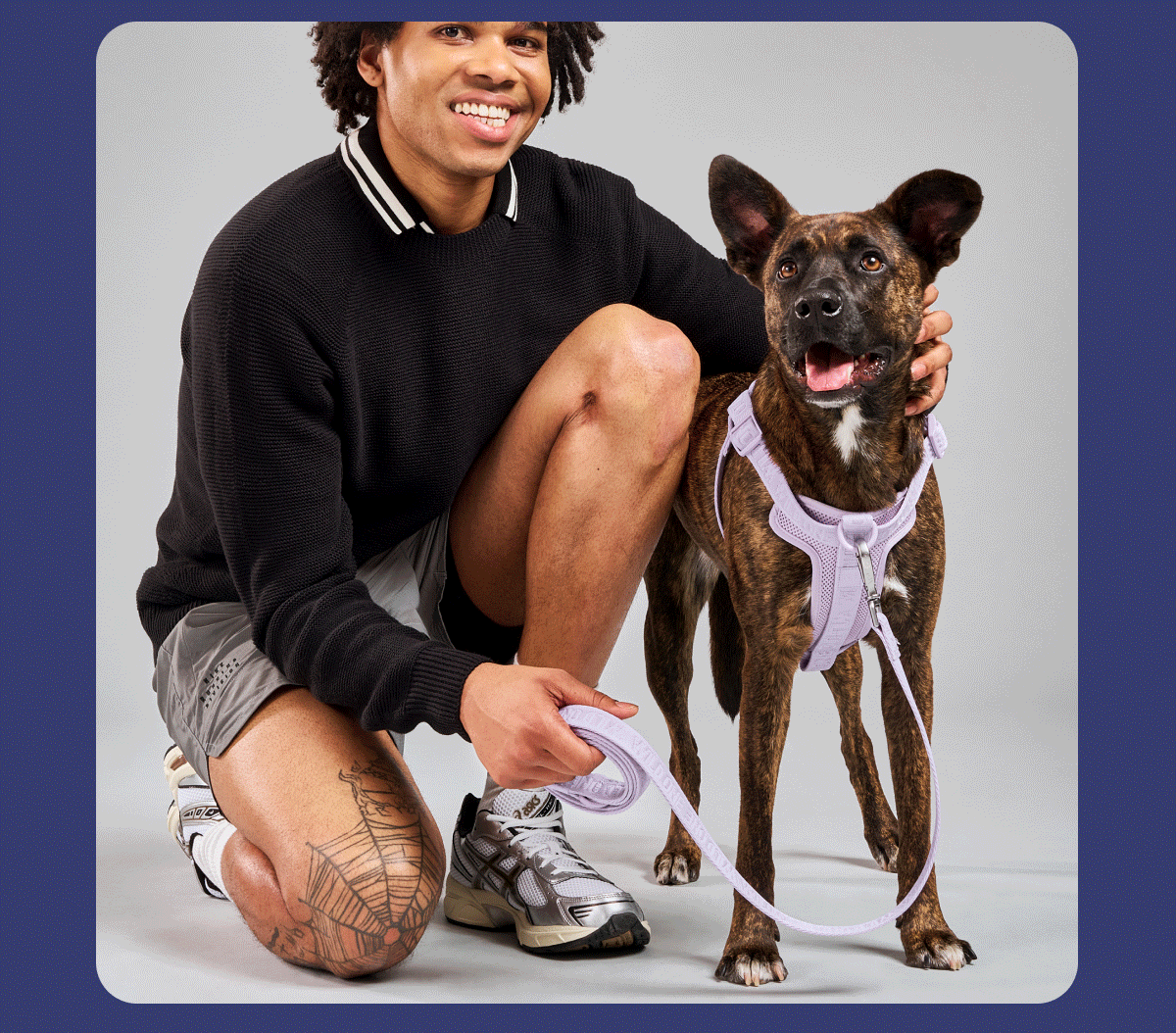 dogs wearing wild one 