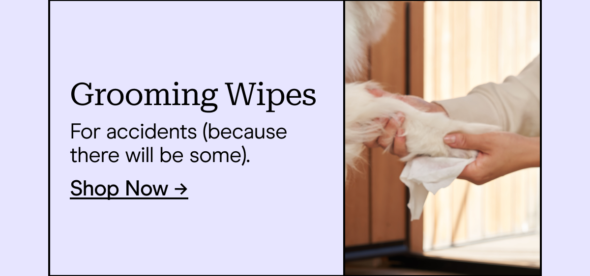 Grooming Wipes For accidents (because there will be some). Shop Now →