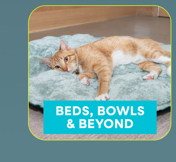 Beds, Bowls & Beyond