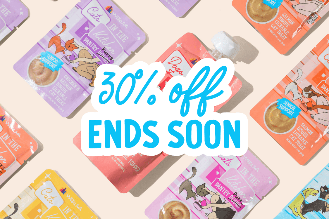 In the Kitchen Sale Ends Soon