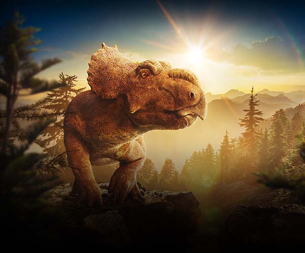 Albie the Pachyrhinosaurus, a large ceratopsian dinosaur with a prominent bony frill and nasal boss, stands atop a rocky mountain. A lush forest stretches out below with the sun setting behind.