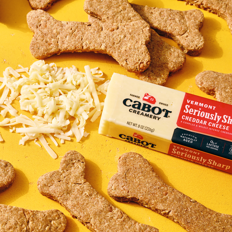Pup-Approved Recipes
