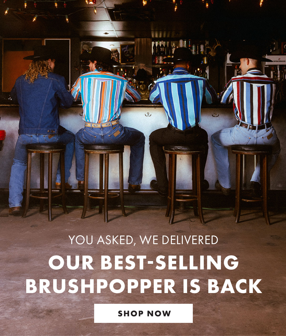 You Asked, We Delivered Our Best-Selling Brushpopper Is Back Shop Now