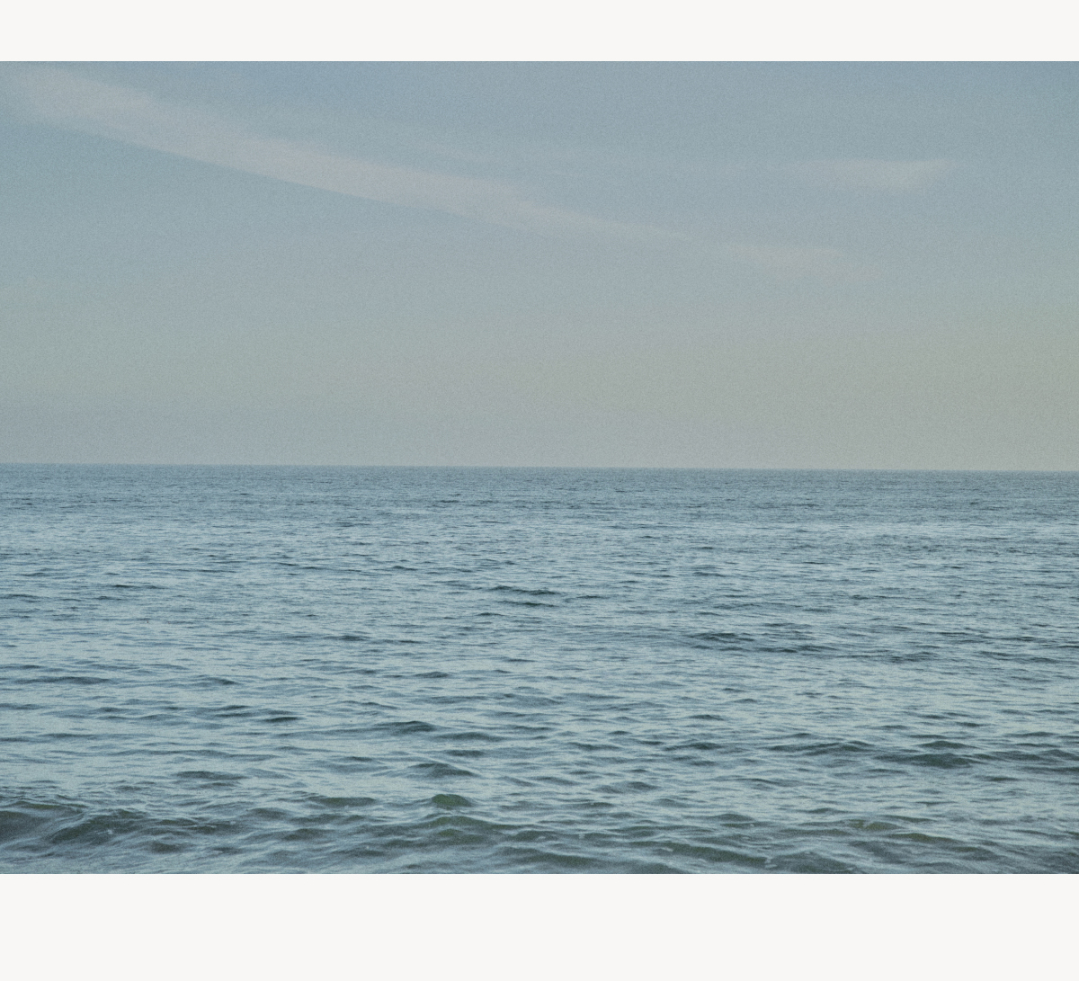 Swim