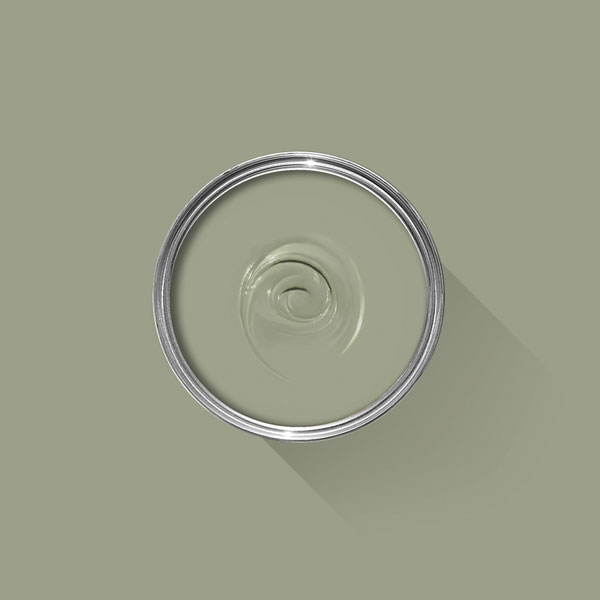 A photo looking down on a Farrow & Ball tin filled with Lichen