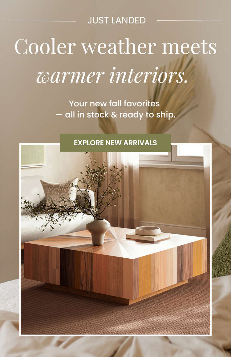 Explore New Arrivals