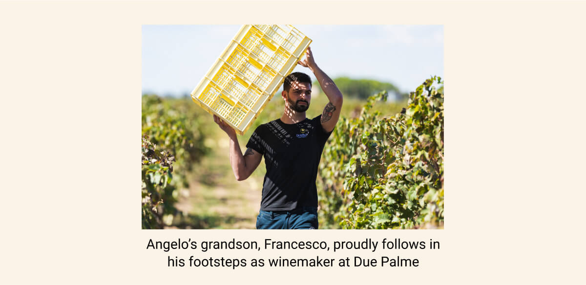 Francesco, winemaker at Cantine Due Palme