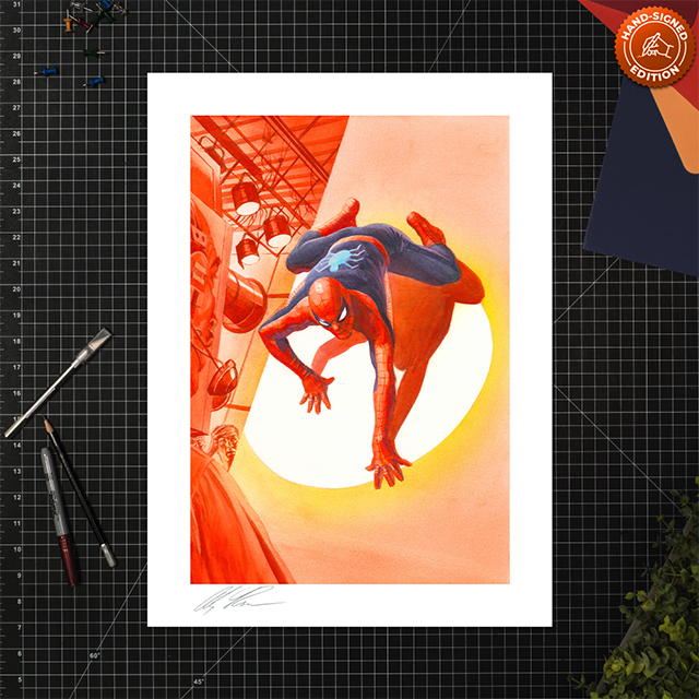 Dimensions: Spider-Man Fine Art Print