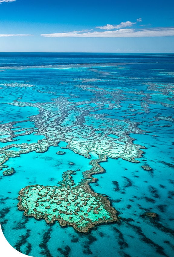 Great Barrier Reef, Australia. Book now.