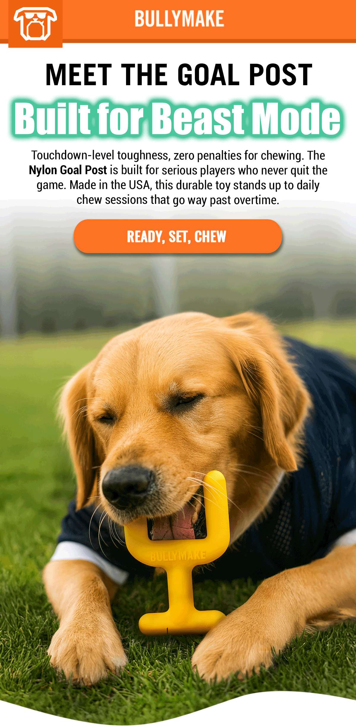 Bullymake Dog Toy Subscription Box