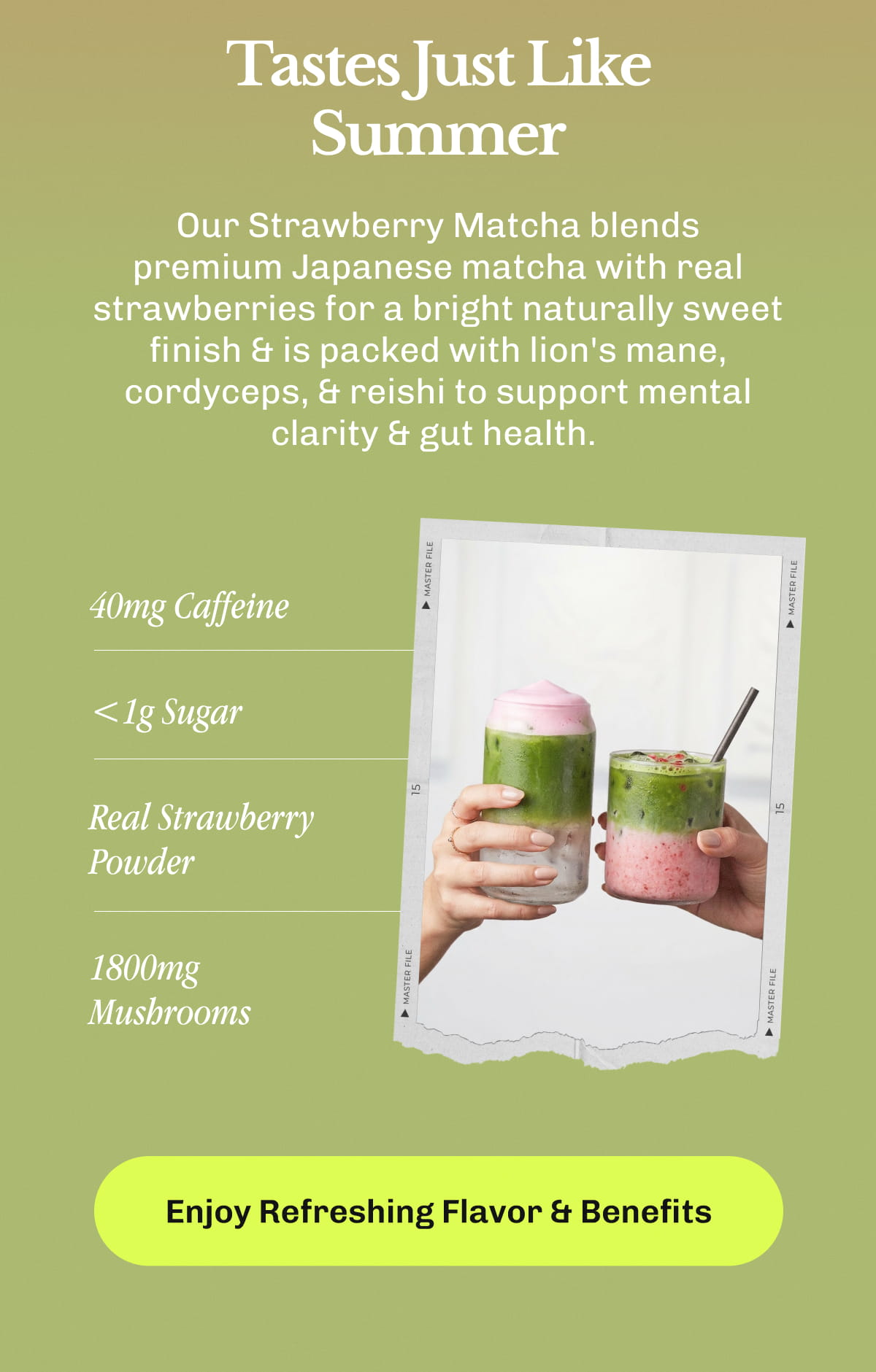 Tastes Just Like Summer | Our Strawberry Matcha blends premium Japanese matcha with real strawberries for a bright naturally sweet finish & is packed with lion's mane, cordyceps, & reishi to support mental clarity & gut health. | • 40mg Caffeine | • 40mg Sugar | • Real Strawberry Powder | • 1800mg Mushrooms | Enjoy Refreshing Flavor & Benefits