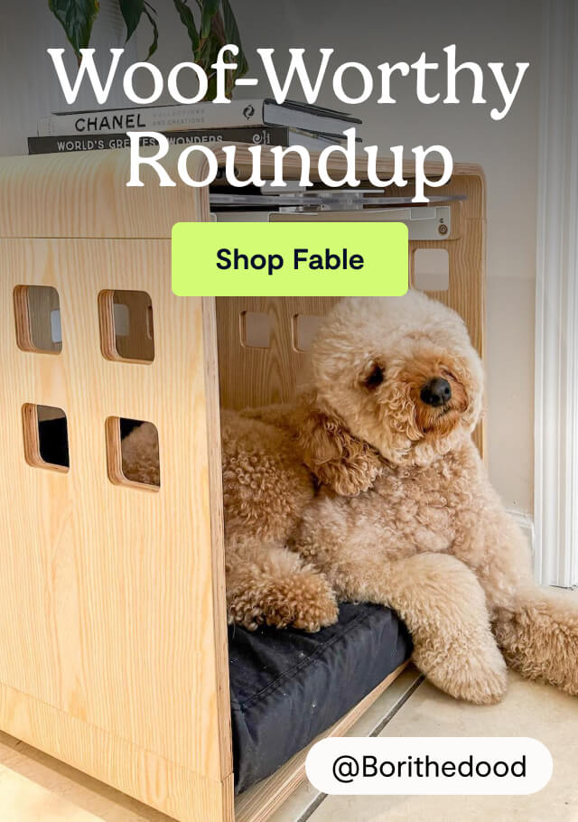 Woof-Worthy Roundup