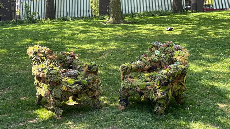Natalie Collete Wood’s “Swallowed” in Jackie Robinson Park