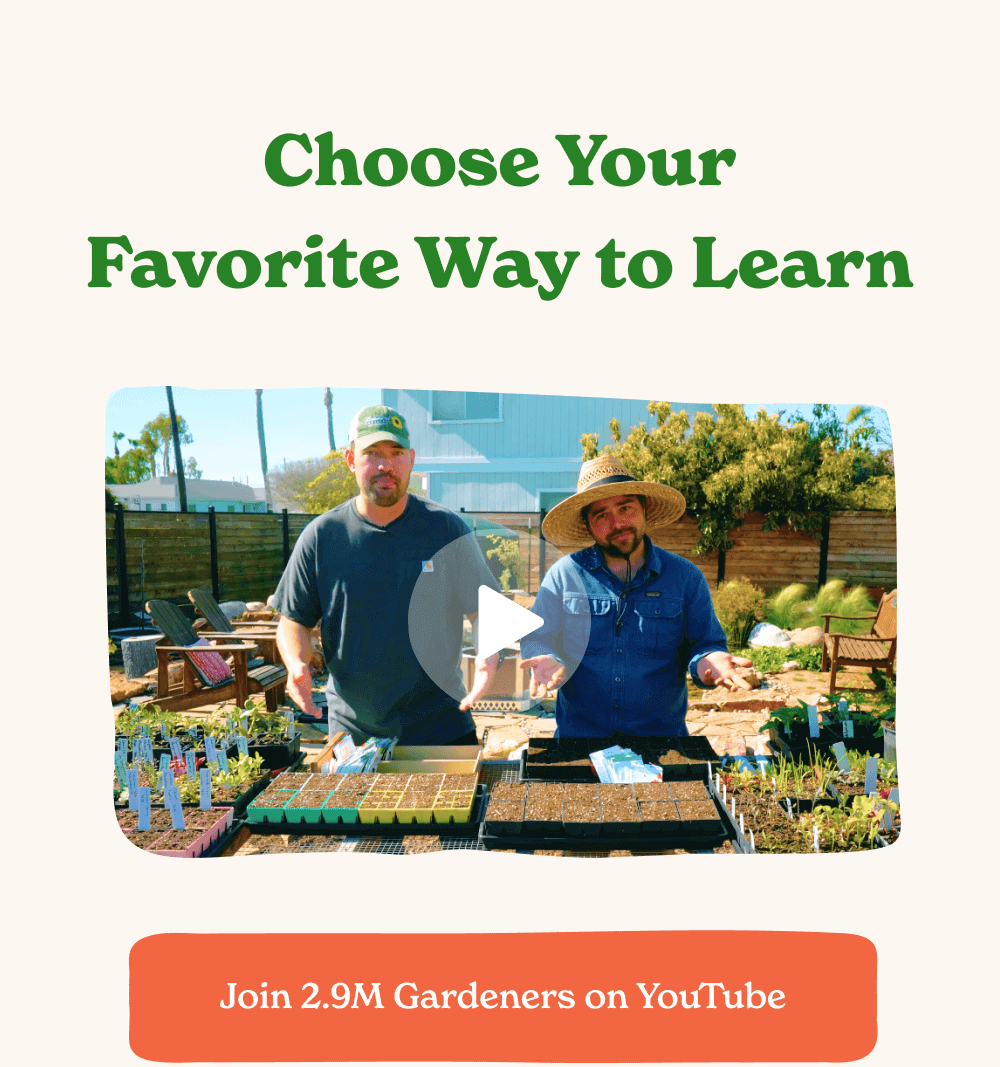 Choose Your Favorite Way to Learn  [ Linger on Our YouTube Videos ]