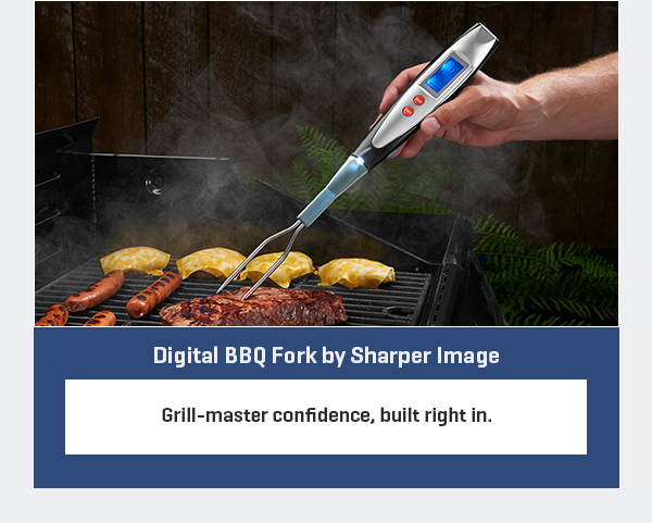 Digital BBQ Fork by Sharper Image