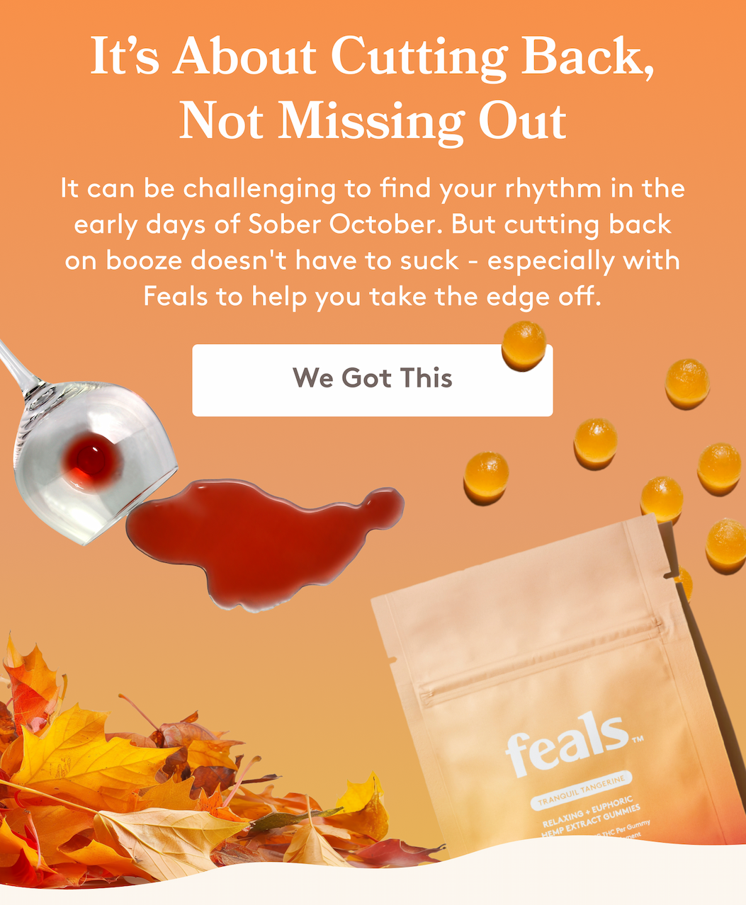 It’s About Cutting Back, Not Missing Out It can be challenging to find your rhythm in the early days of Sober October. But cutting back on booze doesn't have to suck - especially with Feals to help you take the edge off. [We Got This]