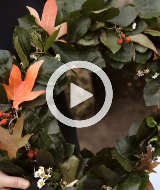 A zoomed in picture of a wreath made out of autumnal leaves with a play button over. 
