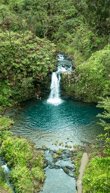 A waterfall flowing into a lush jungle pool.