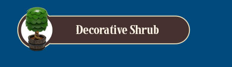 Decorative Shrub