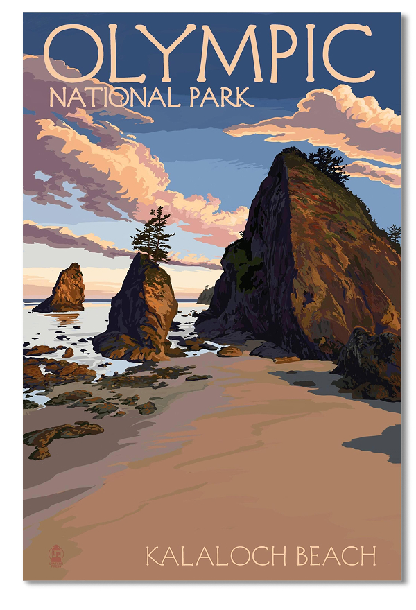 Kalaloch Beach - Olympic National Park, Washington