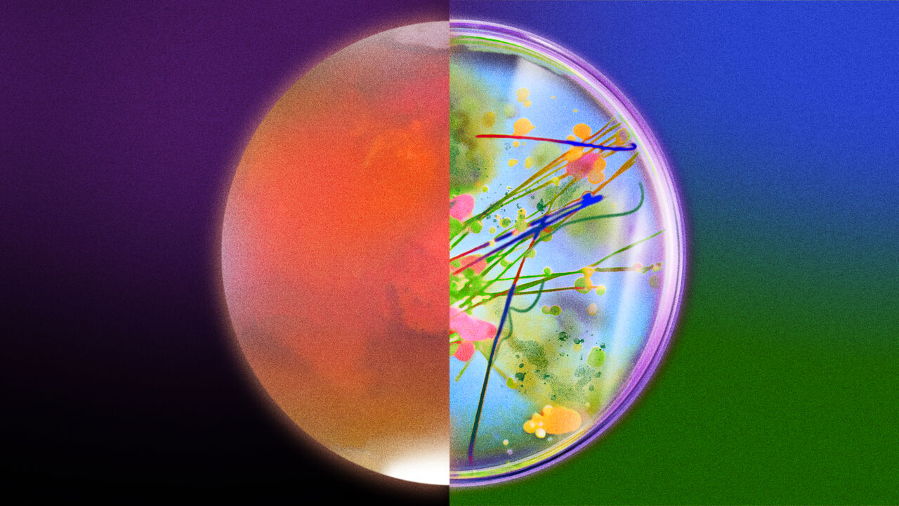 A circular image split in half: the left side shows a hazy, red planet-like surface, while the right shows colourful microbe and plant growth in a Petri dish, forming a vivid, graphic pattern.