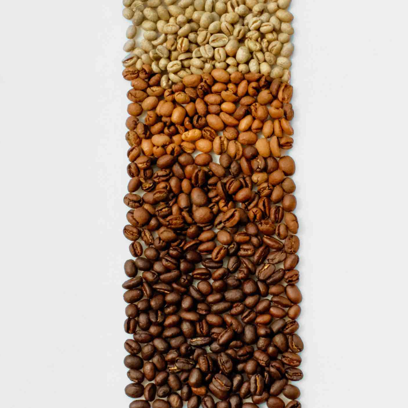 Image of % Arabica Roast Discovery Box