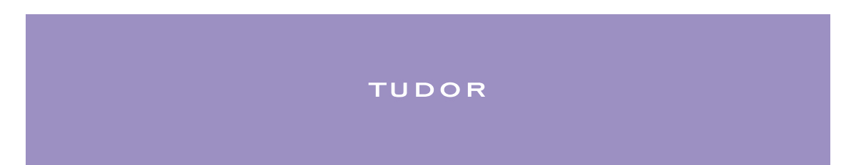 Shop Tudor