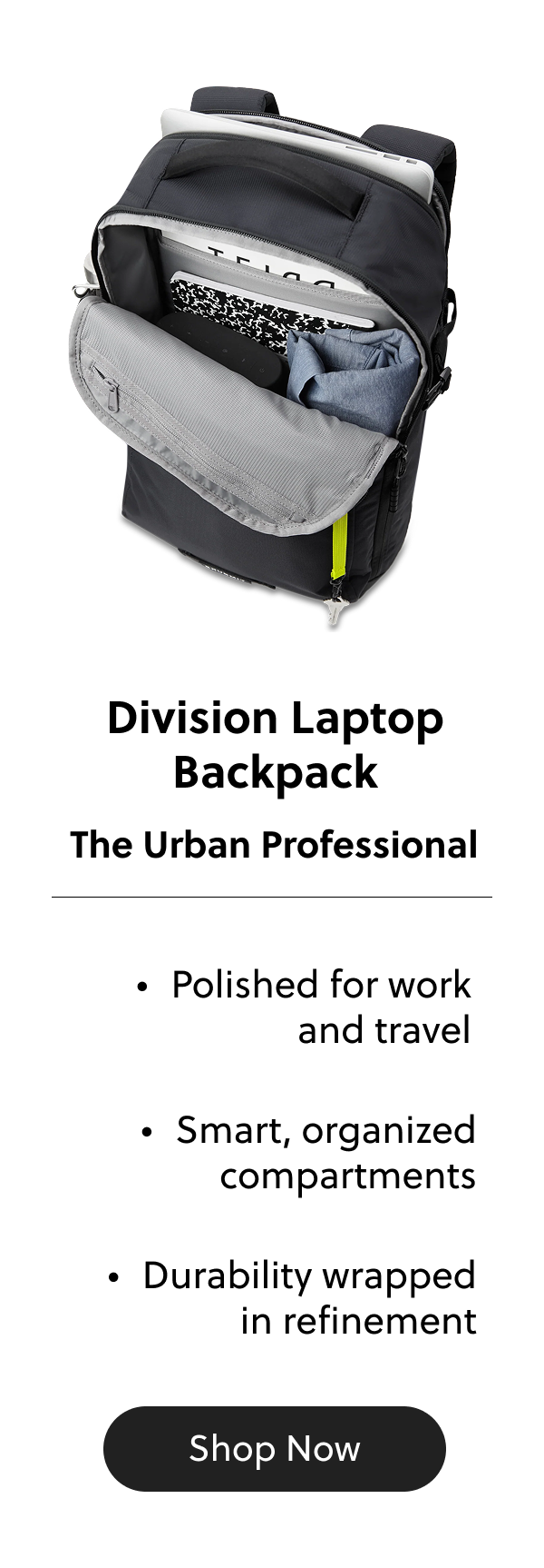 Division laptop Backpack