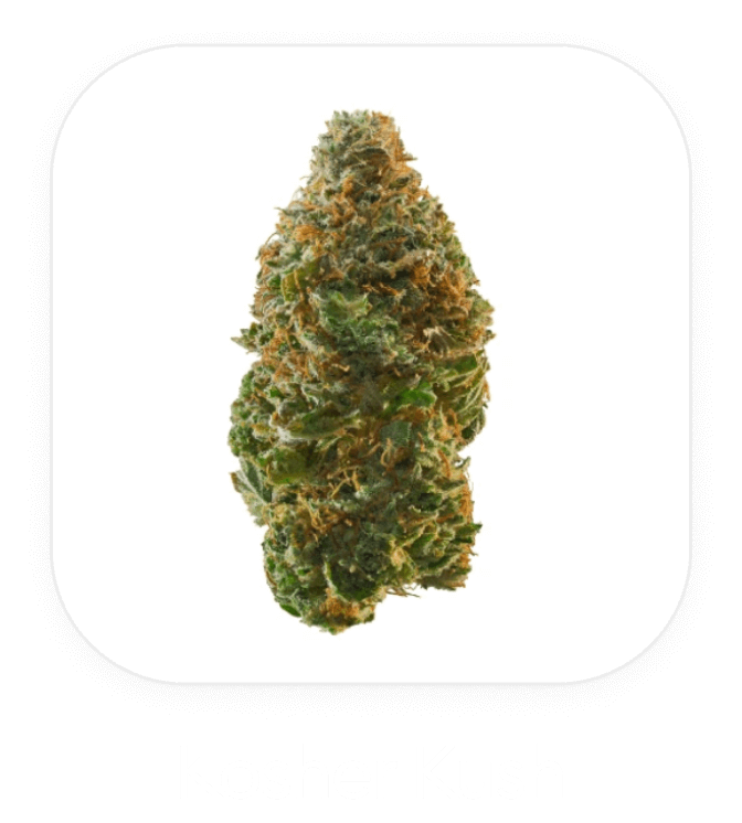Kosher Kush