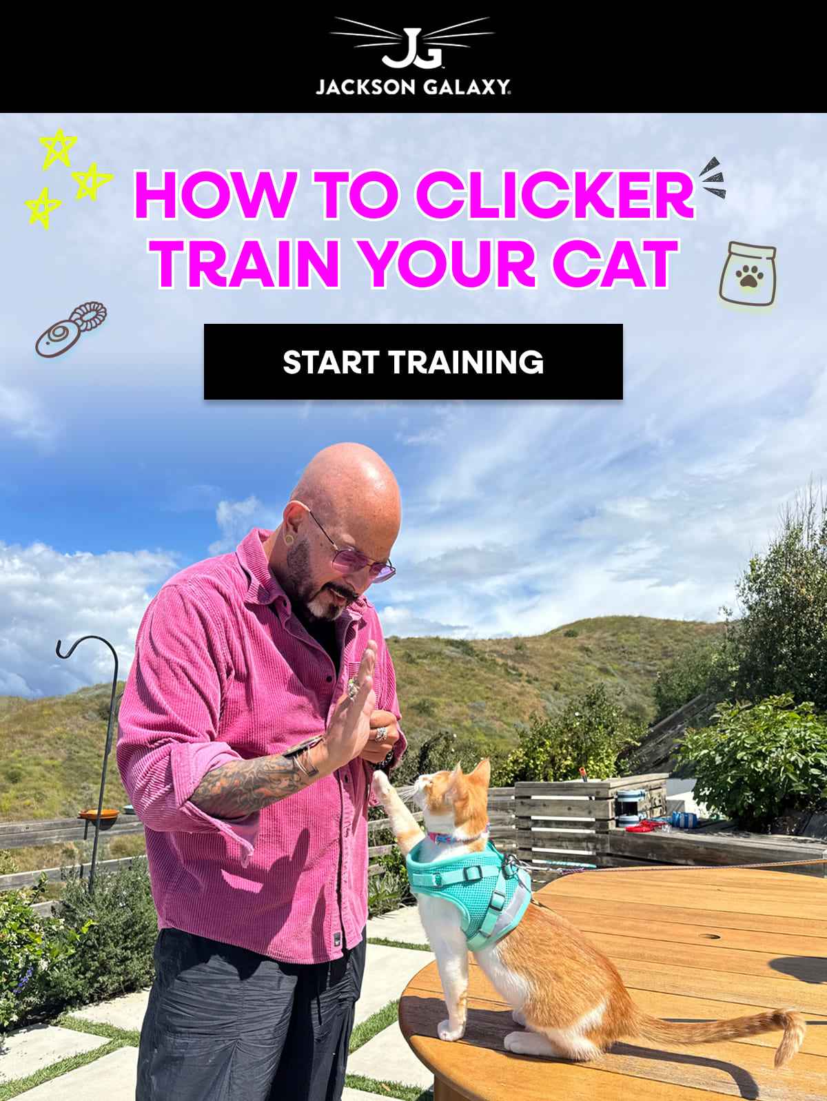 How to clicker train your cat