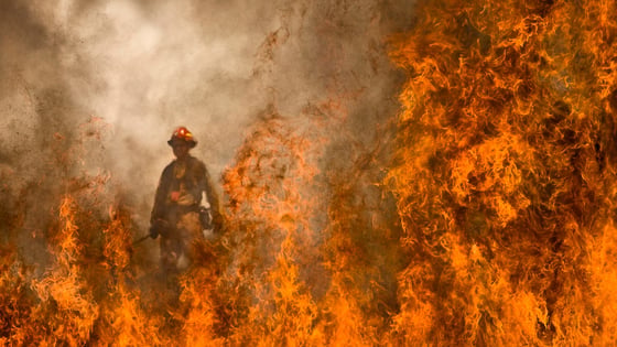 Wildland Fire