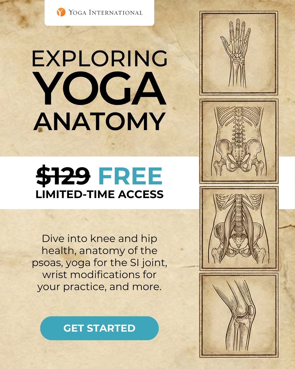 Exploring Yoga Anatomy - Free Limited-Time Access!
