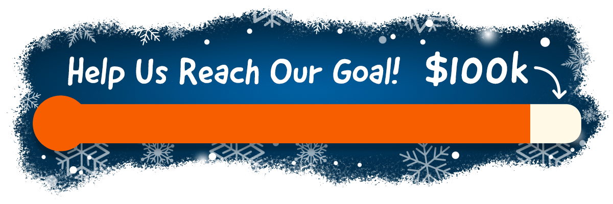 Help us reach our goal by Dec 31.