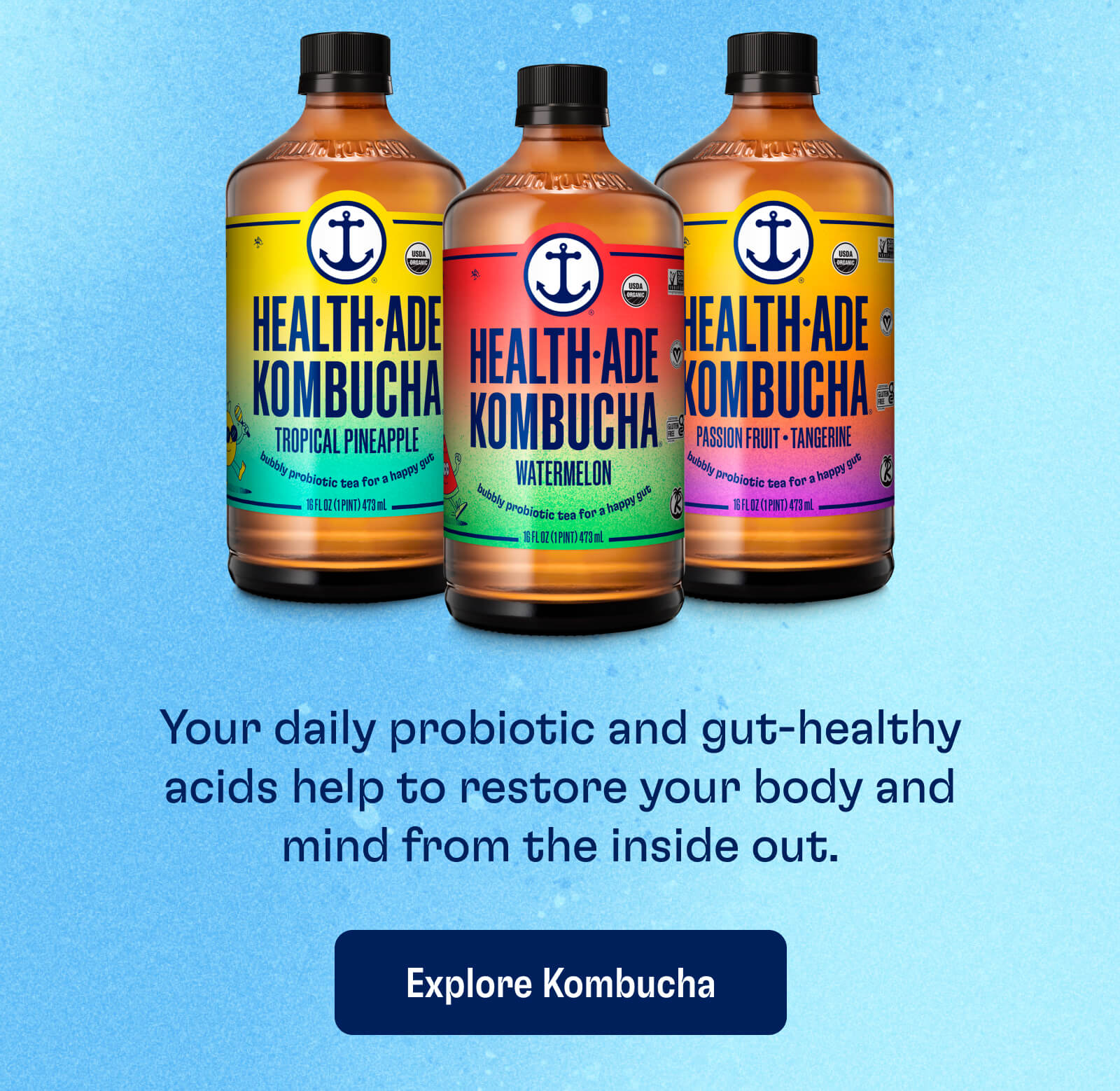 explore kombucha