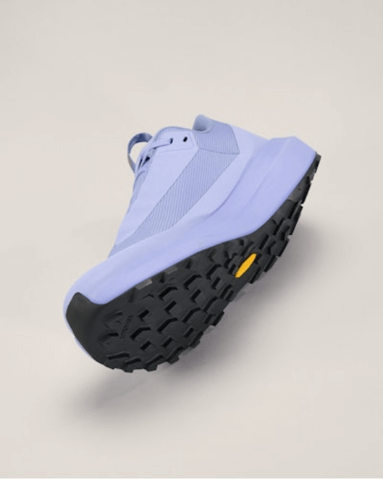 Norvan LD 4 GTX Shoe Women's