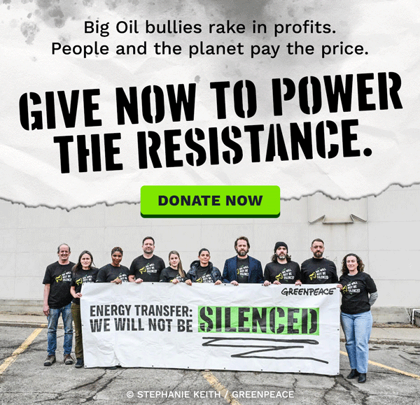 Big Oil bullies rake in profits. People and the planet pay the price. Give now to power the resistance. DONATE NOW >> | Photo of Greenpeace team members holding up a banner outside the Morton County Memorial Courthouse in Mandan, North Dakota.