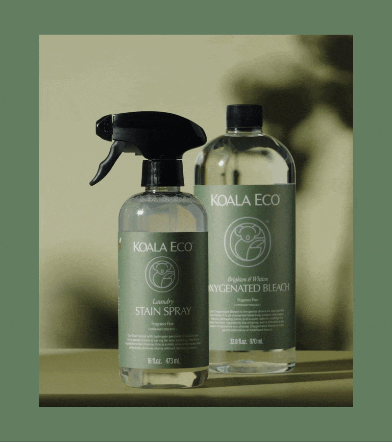 Stain Spray & Oxygenated Bleach