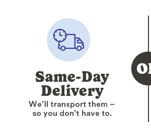 Same-Day Delivery We'll transport them - so you don't have to