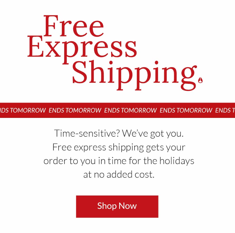 Free Express Shipping - Shop Now