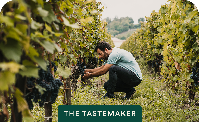 Vineyard worker inspecting grapes with The Tastemaker badge on Food & Wine of France: Bordeaux & Burgundy — opens itinerary.