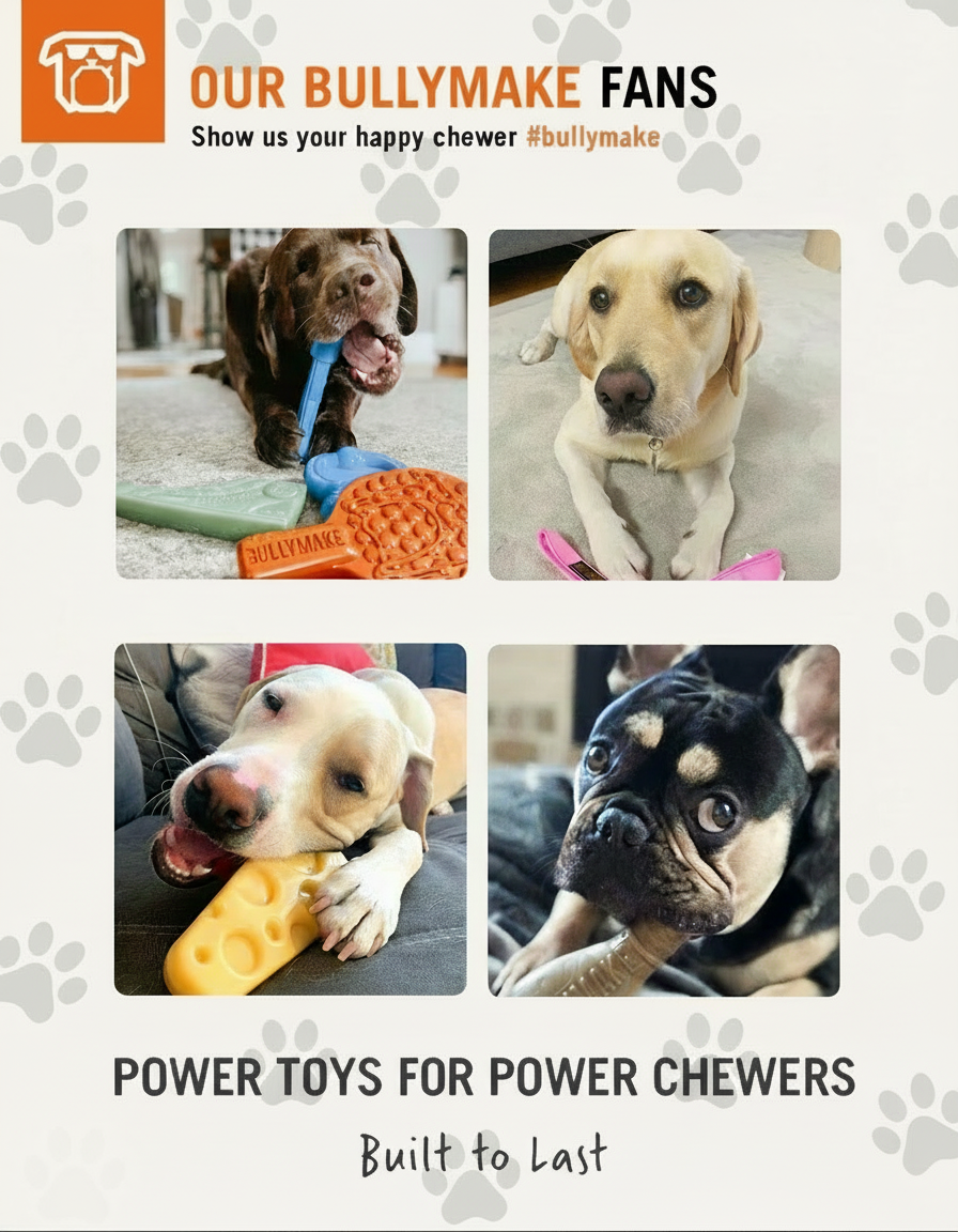 Collage of dogs chewing Bullymake toys, promoting "Power Toys for Power Chewers."