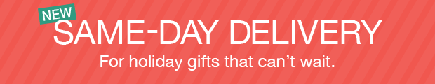 Same day delivery