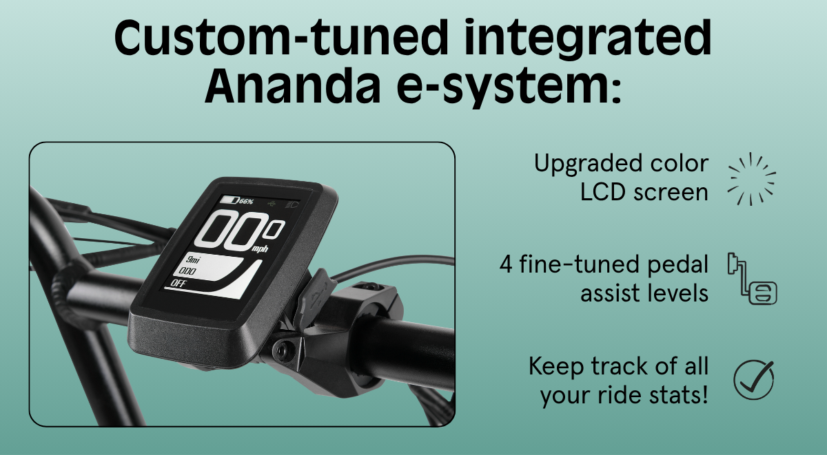 Custom Tuned Ananda System