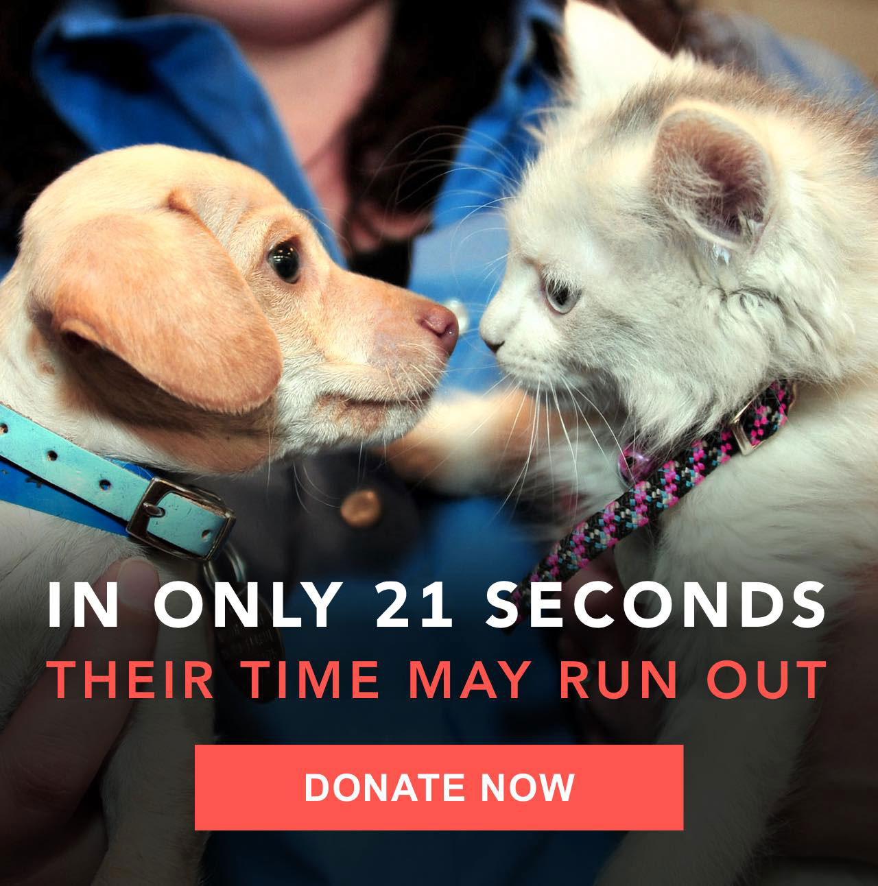 In only 21 seconds their time may run out. DONATE NOW
