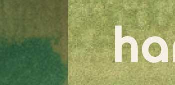 hanni