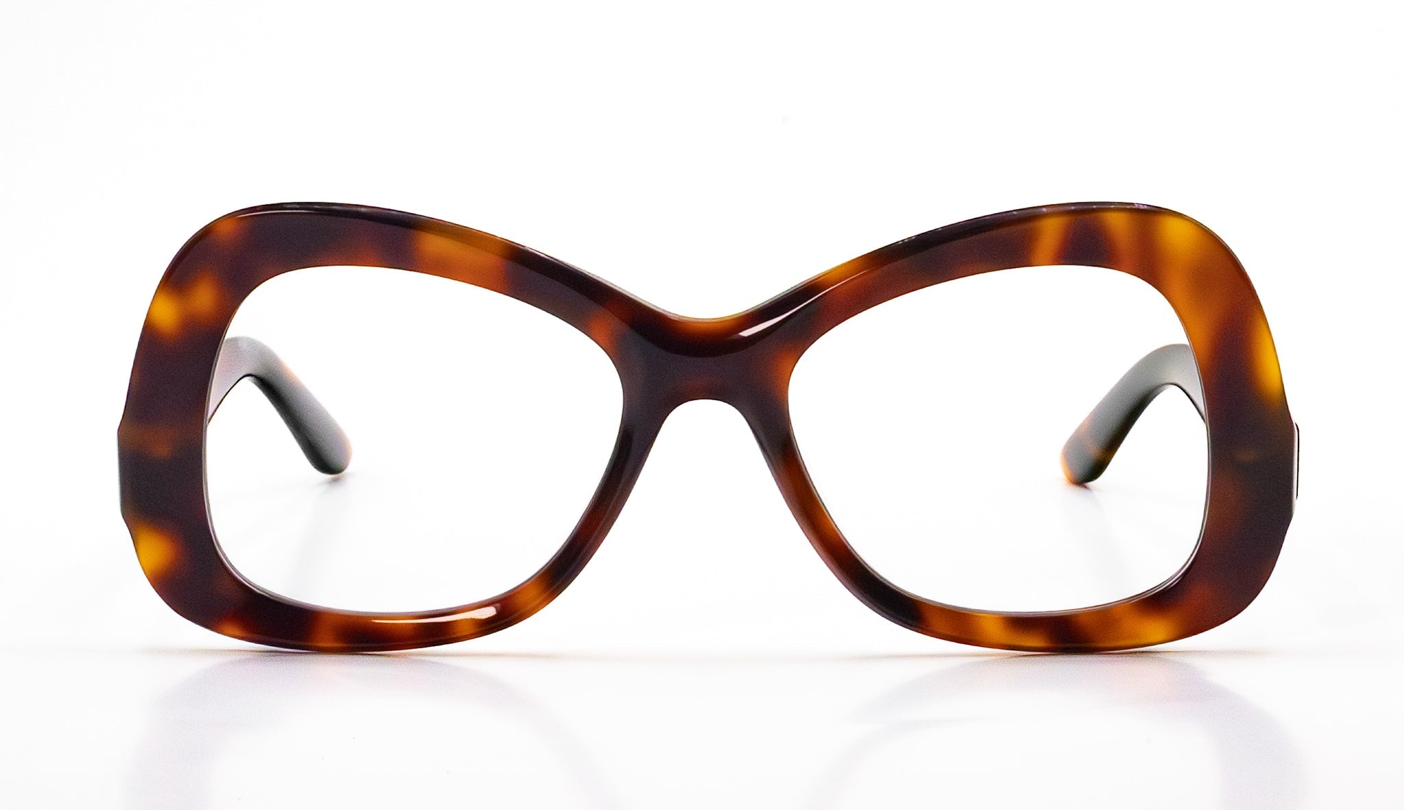 Image of Anansi Tortoise Brown