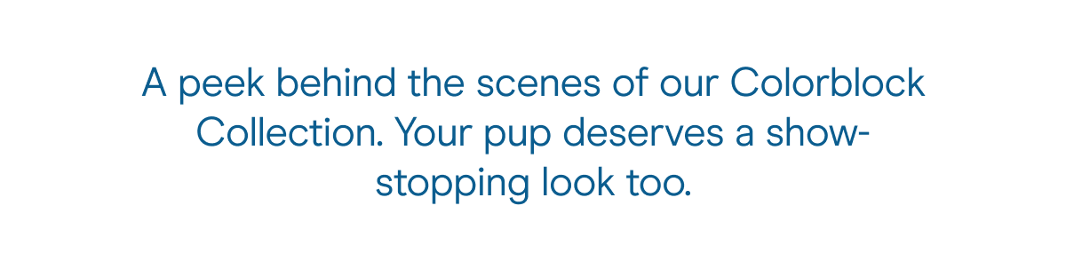 A peek behind the scenes of our Colorblock Collection. Your pup deserves a show-stopping look too.